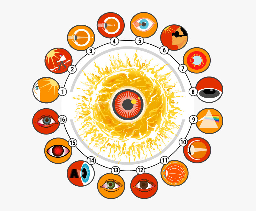 16 Eye - Circle, HD Png Download, Free Download