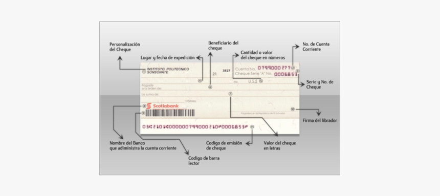 Elementos De Um Cheque, HD Png Download, Free Download