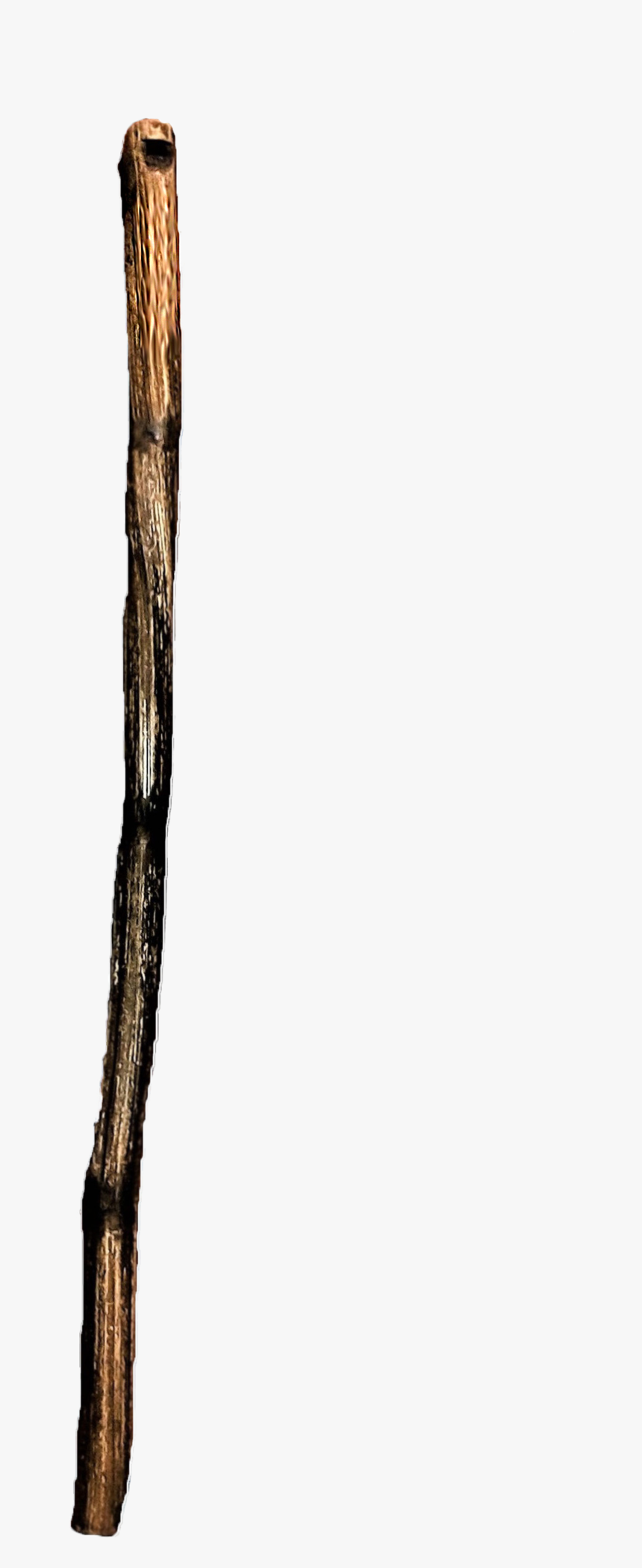 Tree Stick Png, Transparent Png, Free Download