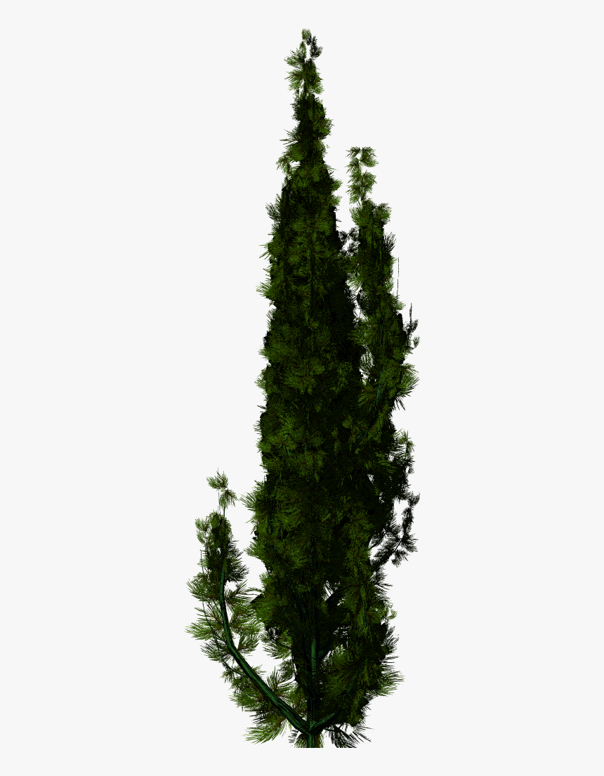 Christmas Tree, HD Png Download, Free Download