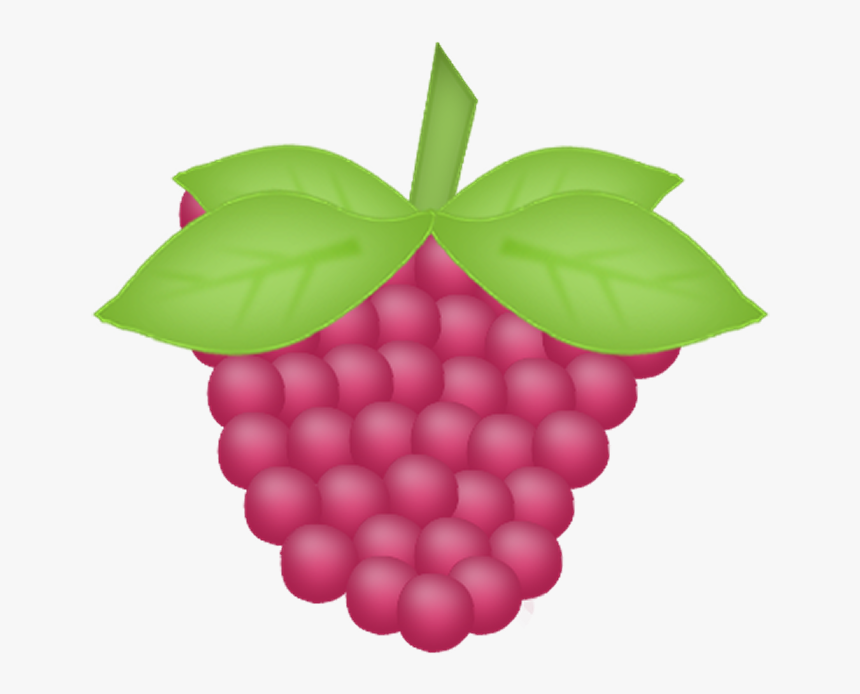 Berries,grape,clipart - Grape, HD Png Download, Free Download