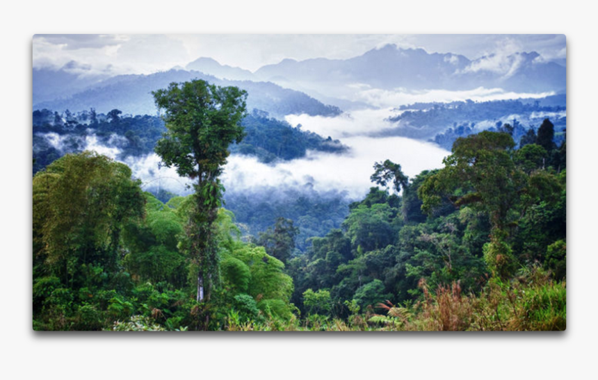 Amazon Clouds - Amazon Rainforest Brazil, HD Png Download, Free Download