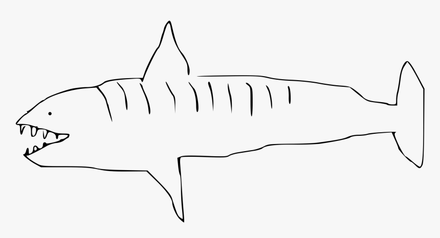 Tiger Shark , Png Download, Transparent Png, Free Download