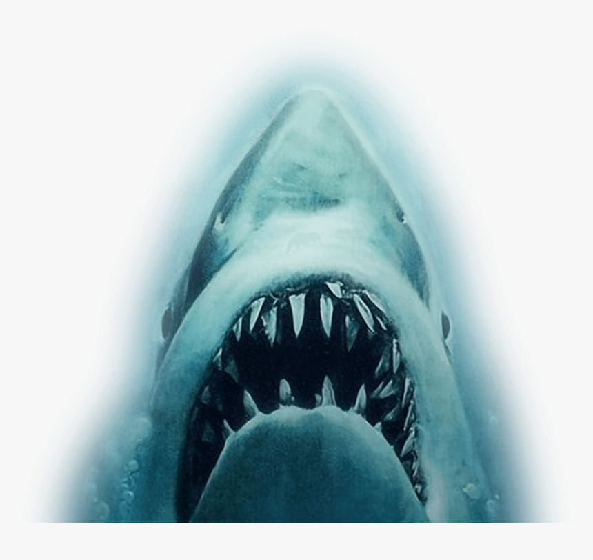 Jaws Png, Transparent Png, Free Download