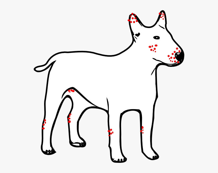 White Outlines Of A Dog, HD Png Download, Free Download