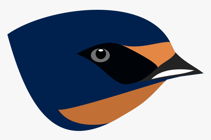 Download Barn Swallow Transparent Background - Swallow Bird Head Png, Png Download, Free Download