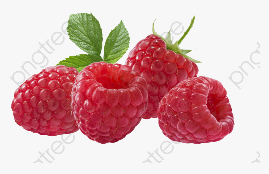 Red Berries Strawberries - Red Berries Png, Transparent Png, Free Download