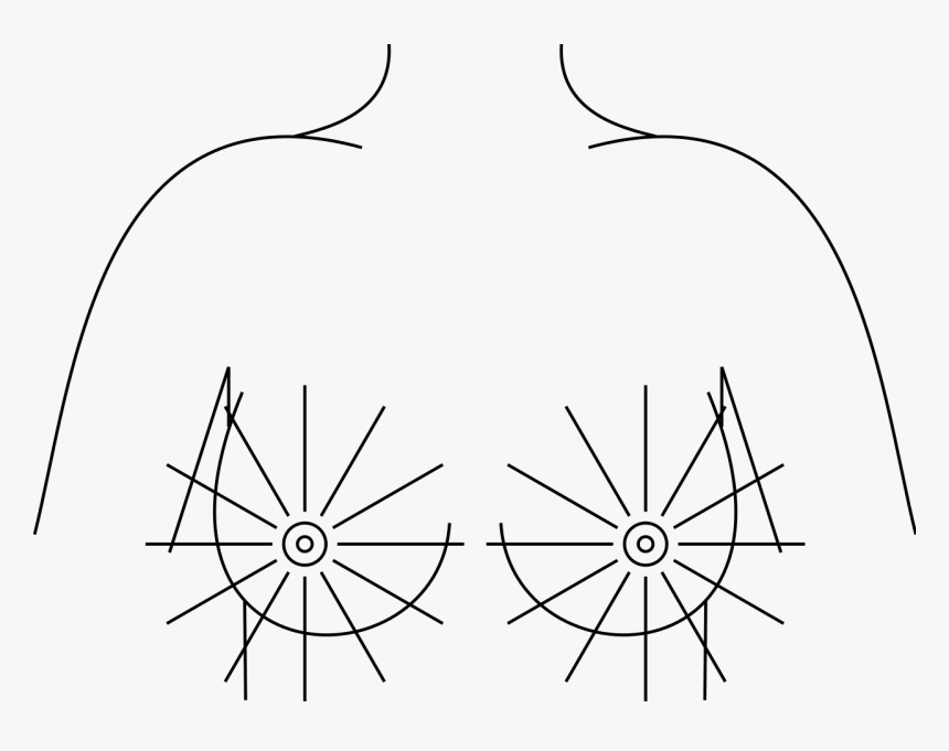 Circle, HD Png Download, Free Download