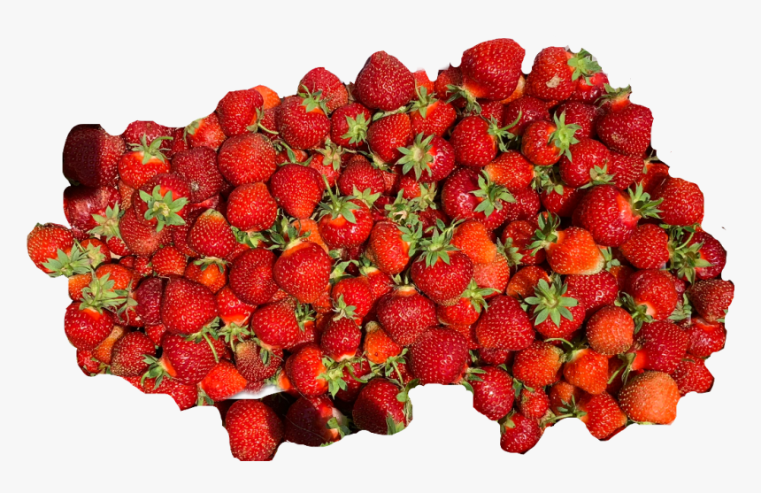 #strawberry #fruit #strawberrys #red #berry #freetoedit - Strawberry, HD Png Download, Free Download