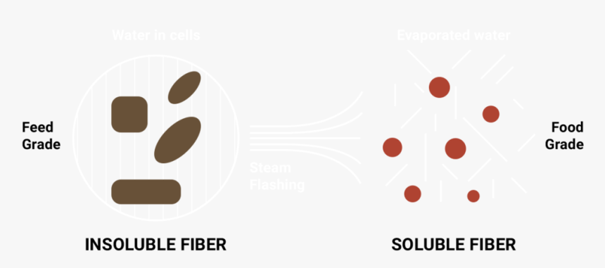 Fiberscheme-2 - Circle, HD Png Download, Free Download