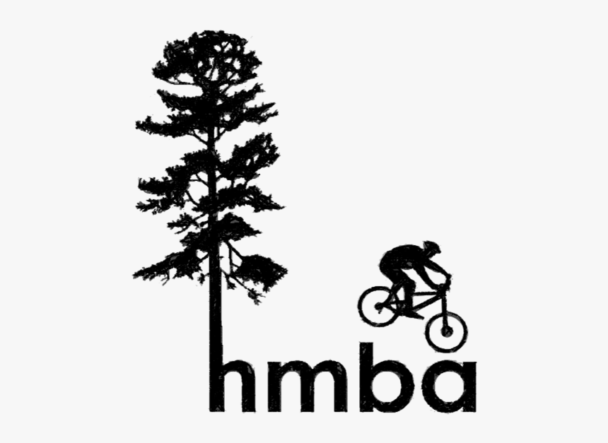 Ponderosa Pine Tree Silhouette, HD Png Download, Free Download