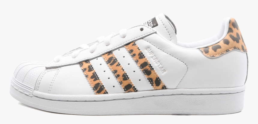 Adidas Superstar Cq2514 - Sneakers, HD Png Download, Free Download