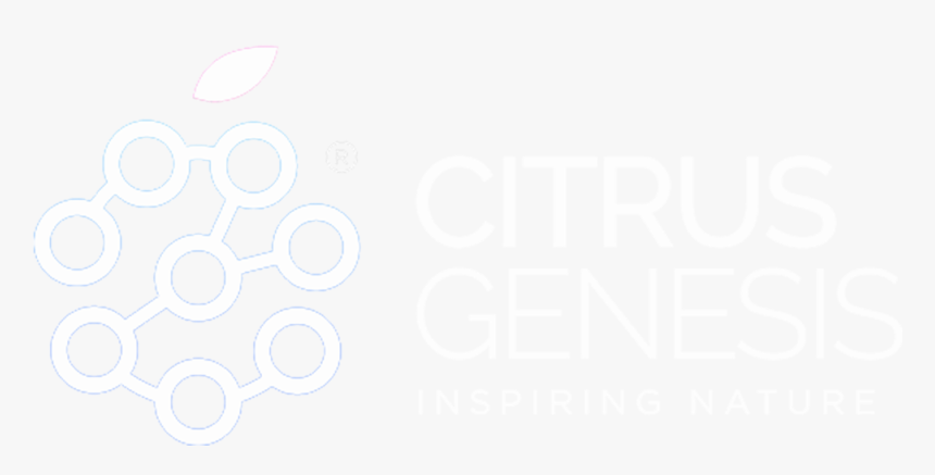 Citrusgenesis B - Circle, HD Png Download, Free Download