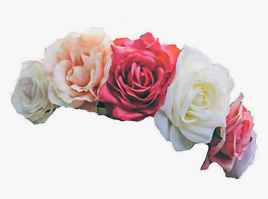 Transparent Red Flower Crown Png - Transparent Flower Crown Png, Png Download, Free Download