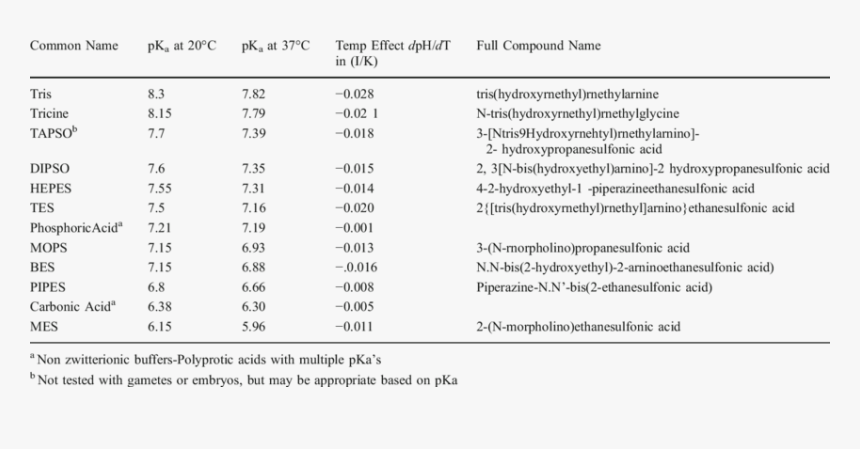 Buffers Ph, HD Png Download, Free Download