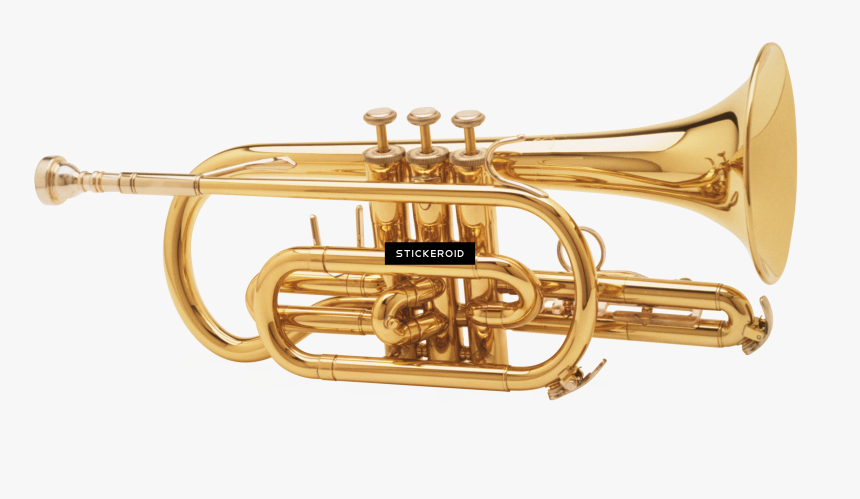 Transparent Trumpet Clipart Free - Trumpet Transparent Background, HD Png Download, Free Download