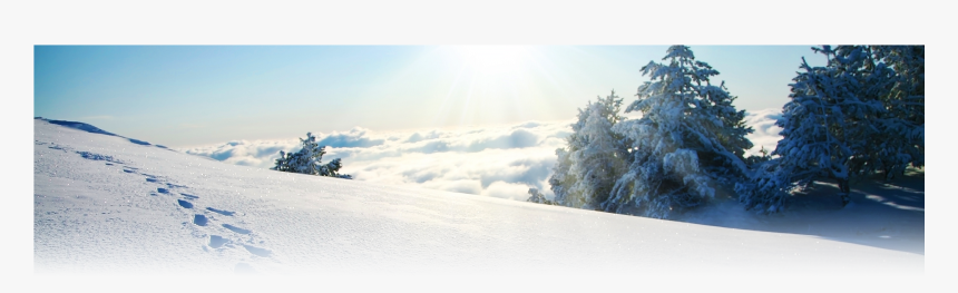 Transparent Winter Landscape Png - 눈 위 의 발자국, Png Download, Free Download
