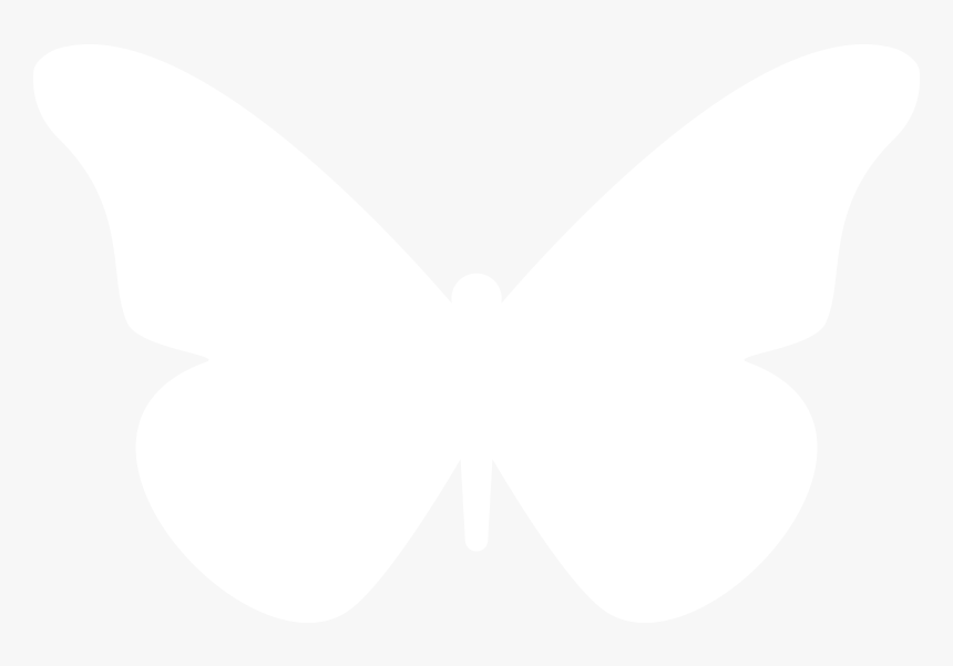 Transparent White Butterfly Png - Butterfly Png Pic White, Png Download, Free Download