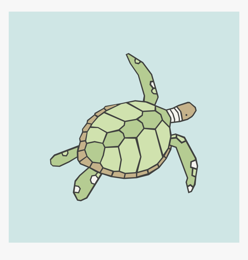 Green Sea Turtle, HD Png Download, Free Download