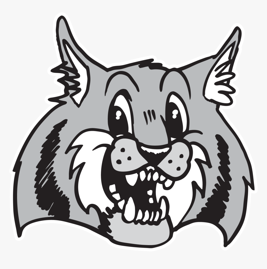 Brand Elementary Png Png Texas Stars Mascot Ringo - Widewater Elementary School, Transparent Png, Free Download