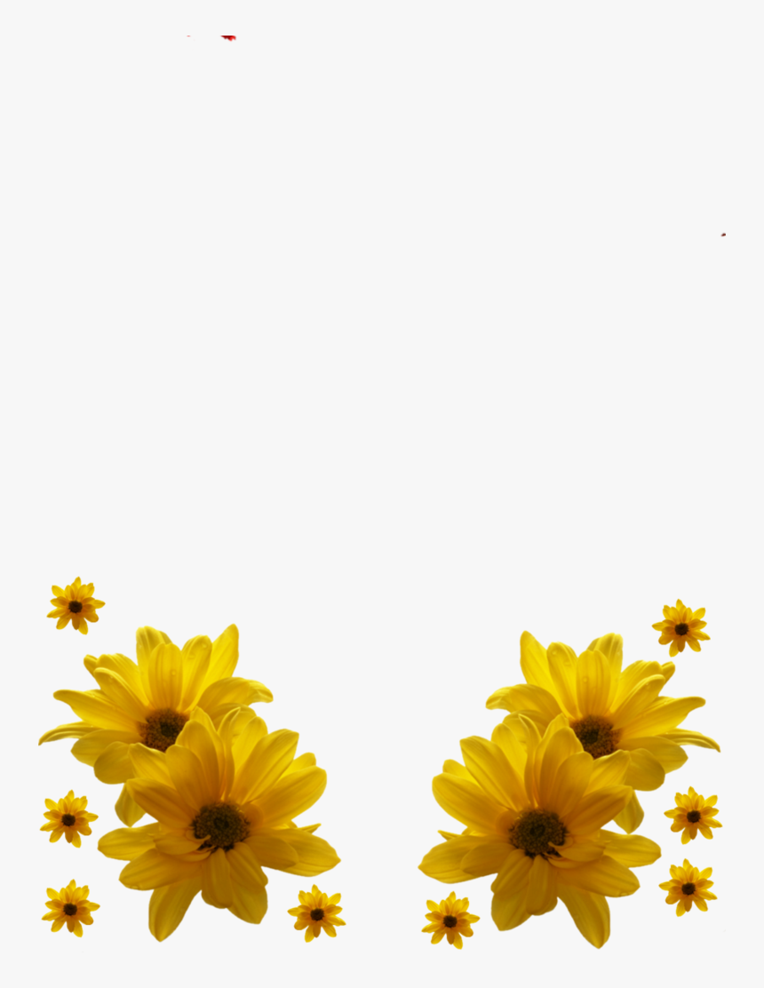 Yellow Flower Frames, HD Png Download, Free Download