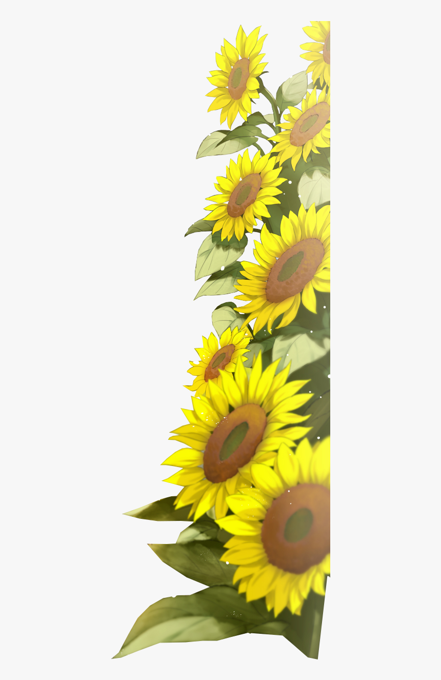 Background Frame Sunflower Border, HD Png Download, Free Download