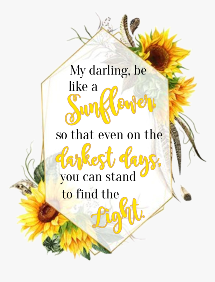 #watercolor #sunflowers #floral #frame #geometric #quote - Sunflower, HD Png Download, Free Download