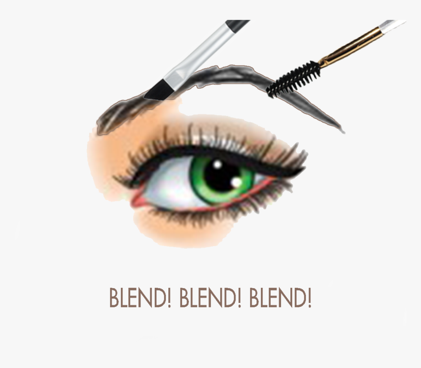 Eye Lash Images - Eyebrow, HD Png Download, Free Download