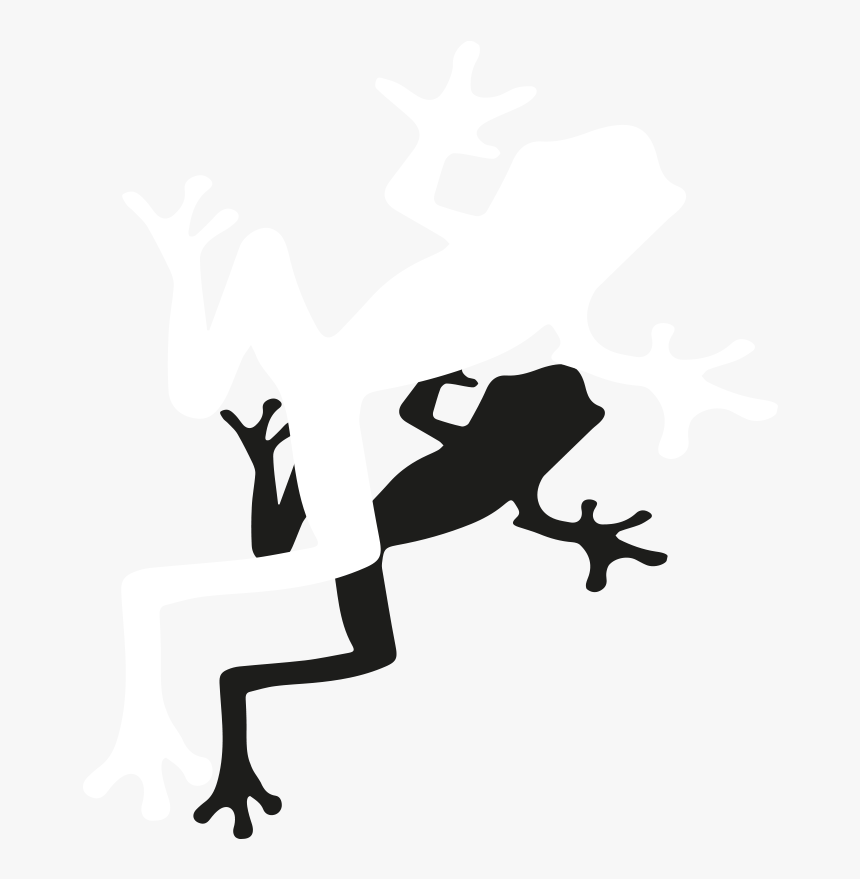 Outline Tree Frog Clipart, HD Png Download, Free Download