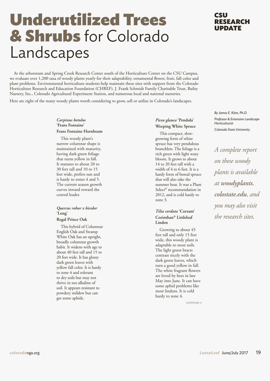 Untitled, Tailpiece, Pg. 15, In The Book Dingo By Octave, HD Png Download, Free Download