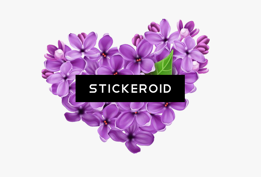 Purple Vector Flower Png , Png Download, Transparent Png, Free Download