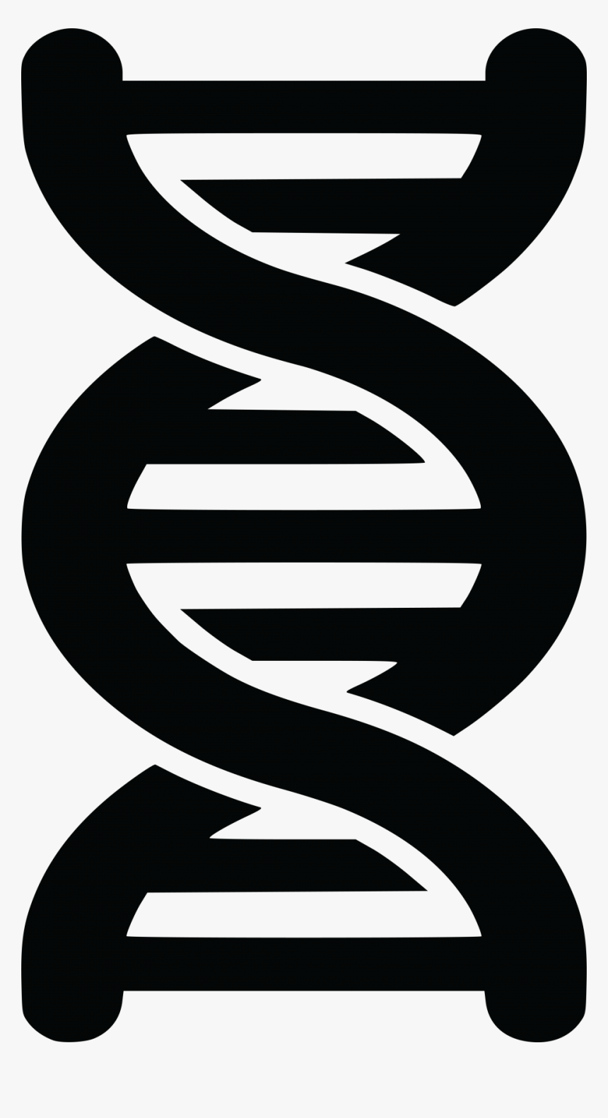 Dna Png Image - Dna Strand Clipart Transparent, Png Download, Free Download