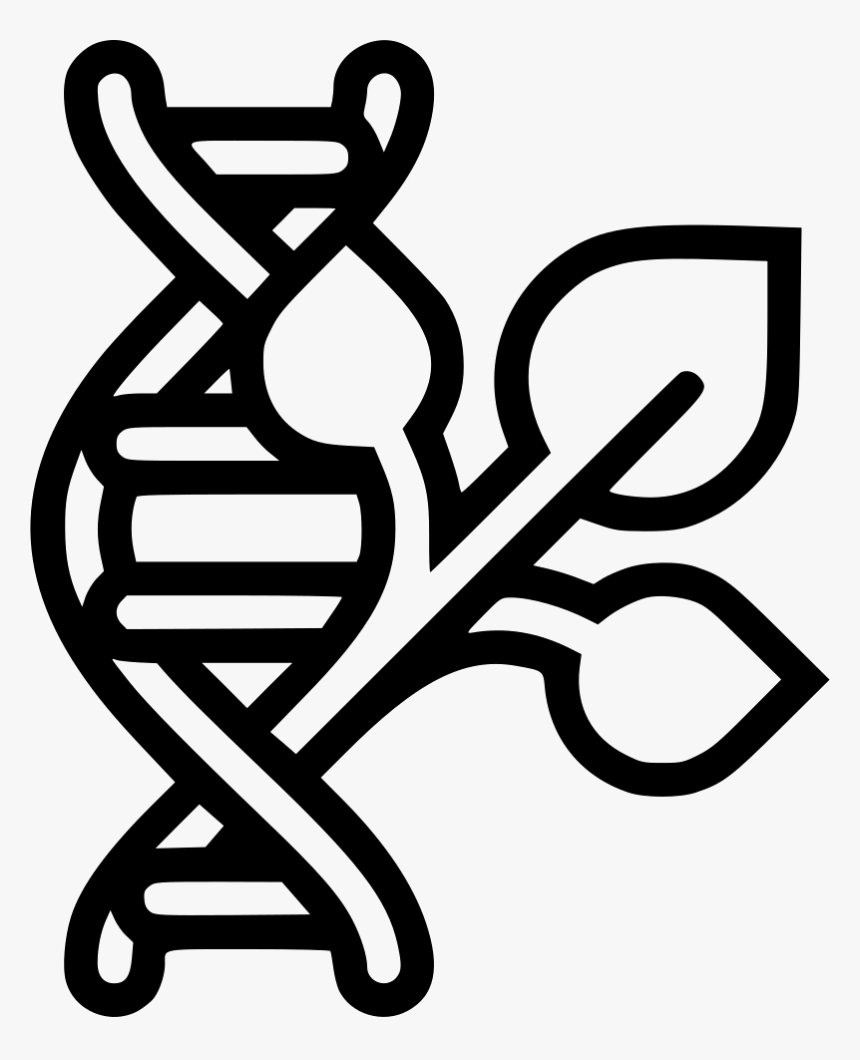 Plant Dna Gmo - Chromosome Black And White, HD Png Download, Free Download