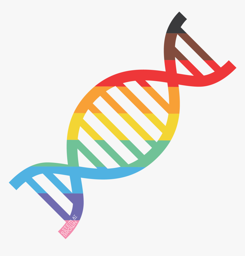 Visible Sticker And/or Pamphlet In Their Offices, Labs, - Dna Icon Png, Transparent Png, Free Download