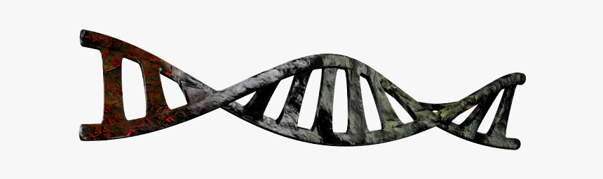 Dna Helix Clipart - Double Helix No Background, HD Png Download, Free Download