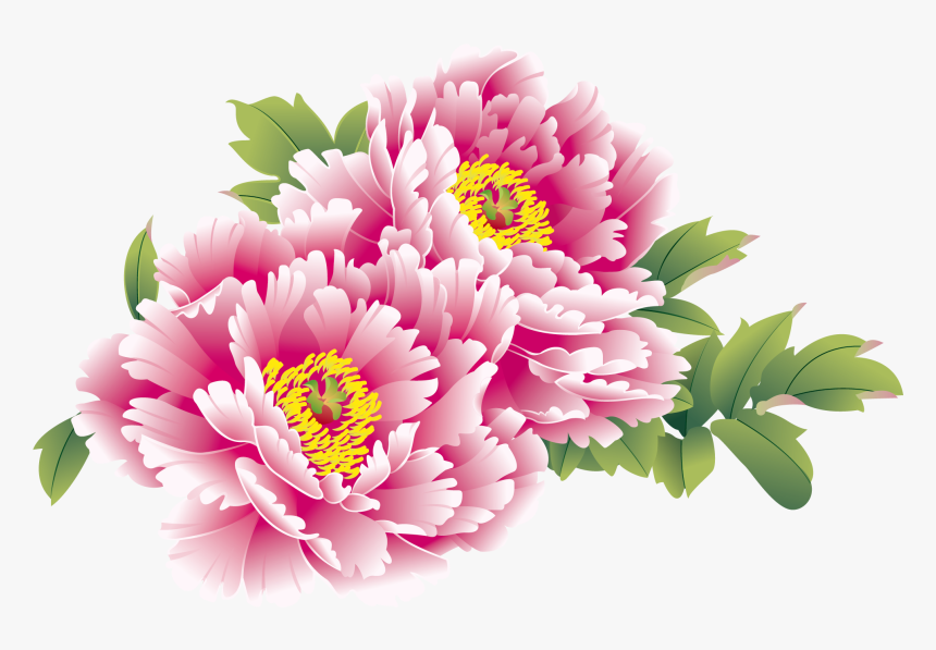 Moutan Flower Peony Chinese National Creative China - Peony Chinese New Year Flowers, HD Png Download, Free Download