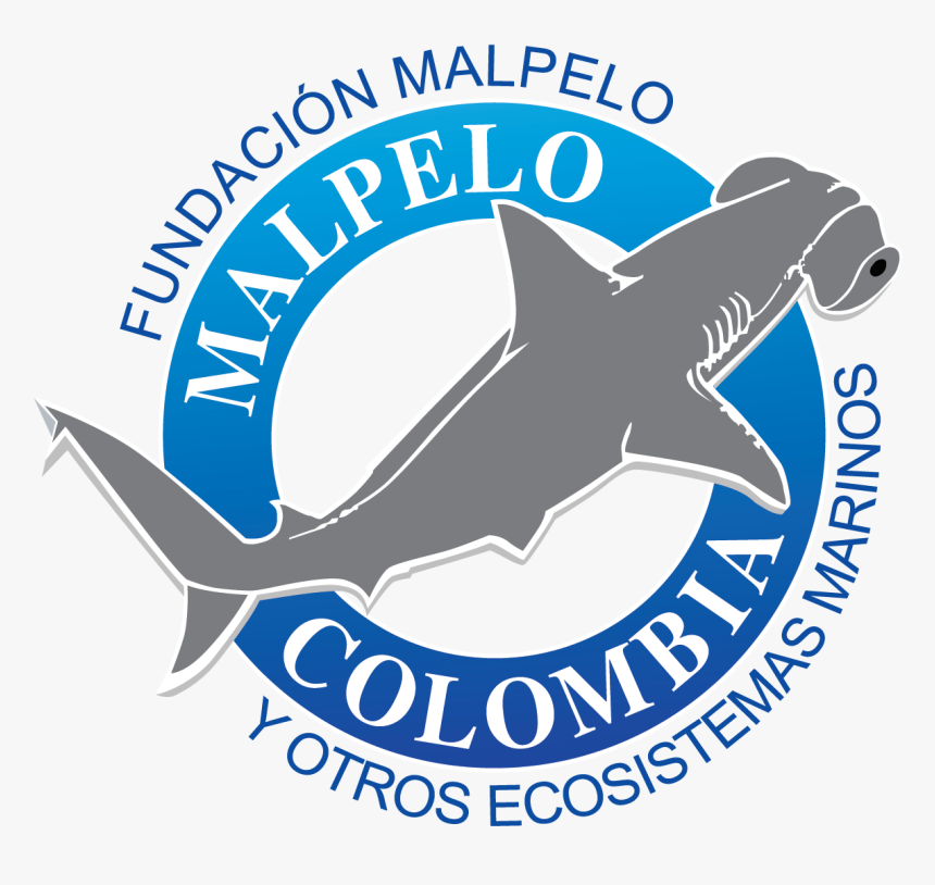 Fundacion Malpelo, HD Png Download, Free Download