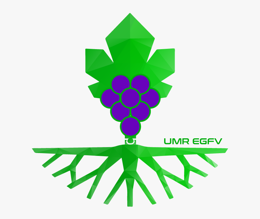 Umr Egfv, HD Png Download, Free Download