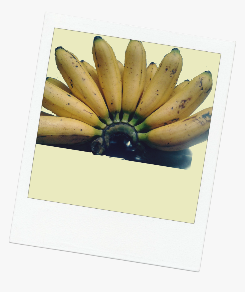 Frutta Polaroid - Saba Banana, HD Png Download, Free Download