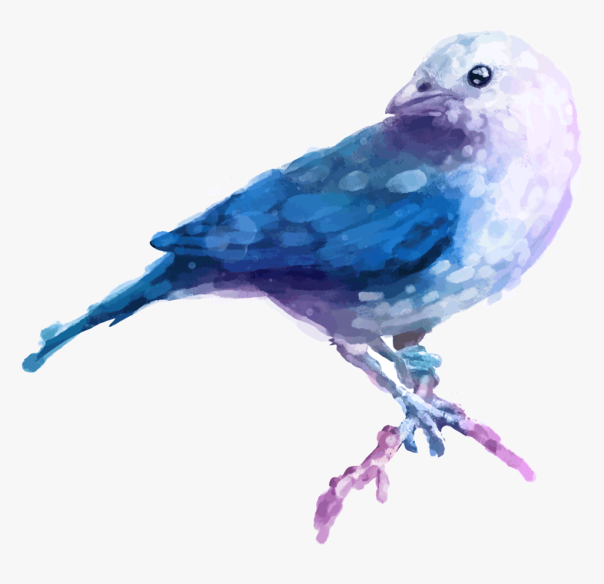 Transparent Watercolor Bird Png - Bird Beautiful Watercolor Paintings, Png Download, Free Download