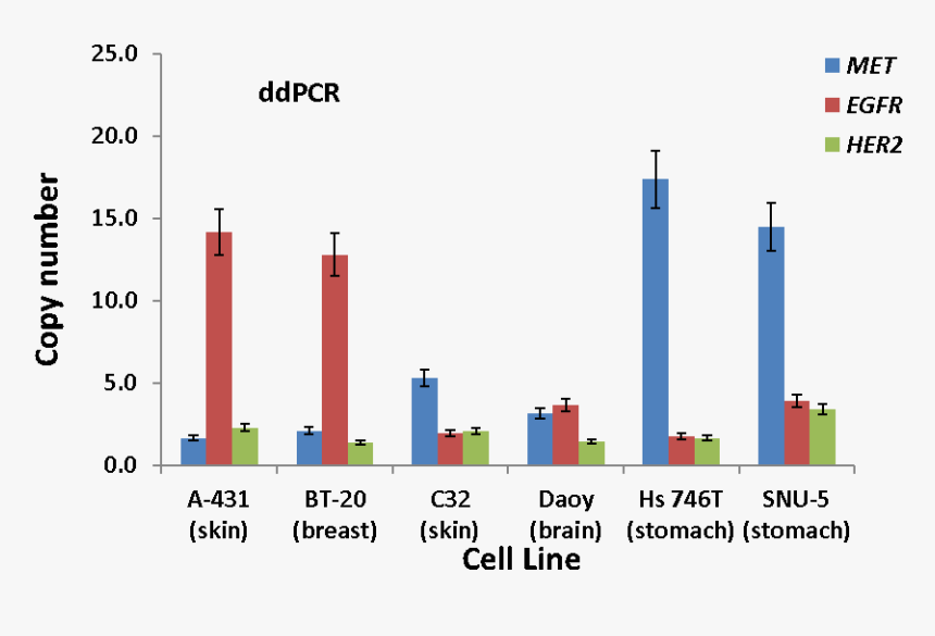 Illustration Of The Gene Copy Numbers For Met, Egfr, - Met Gene Copy Number, HD Png Download, Free Download