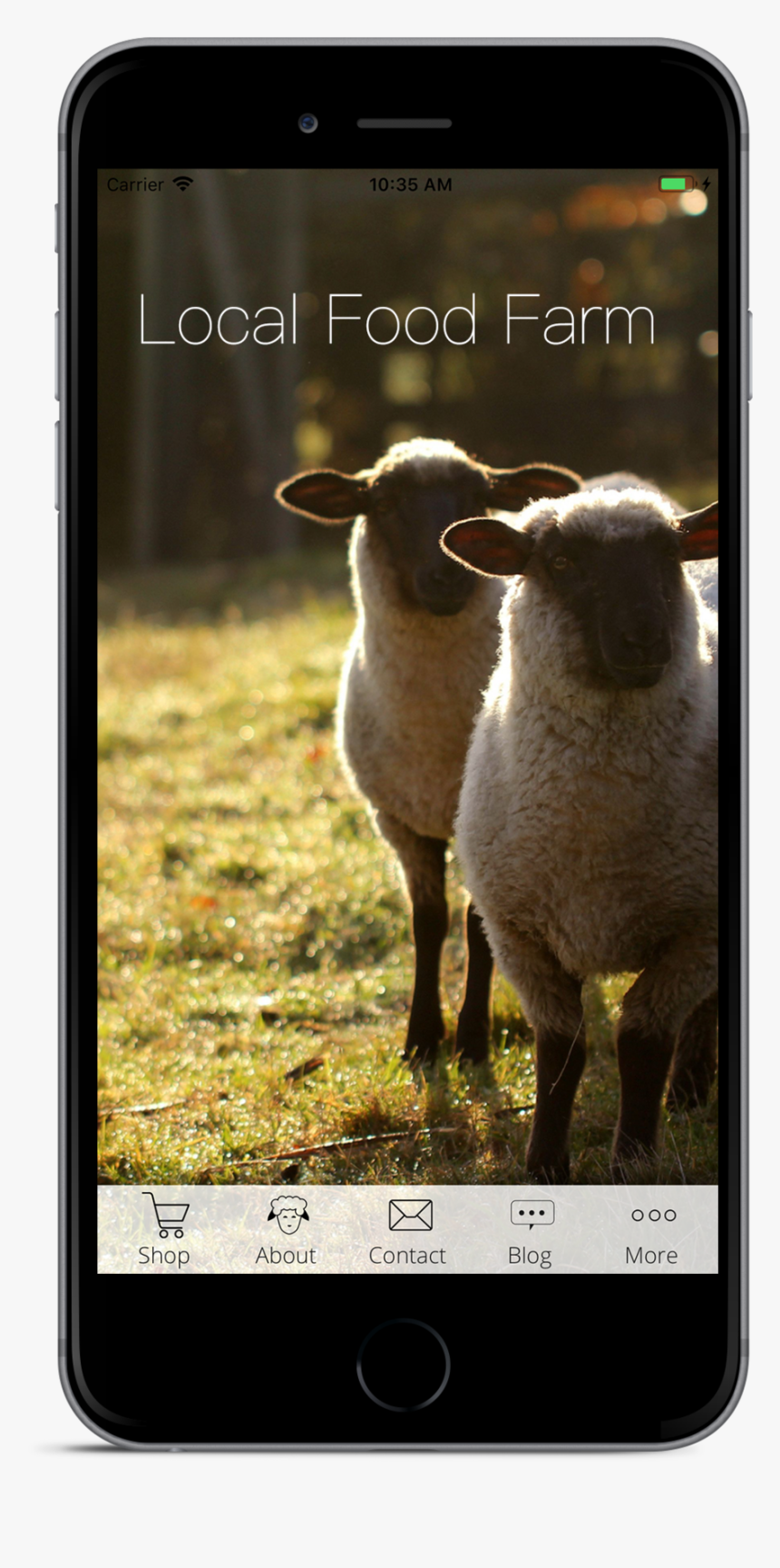 Template 2 - Sheep, HD Png Download, Free Download