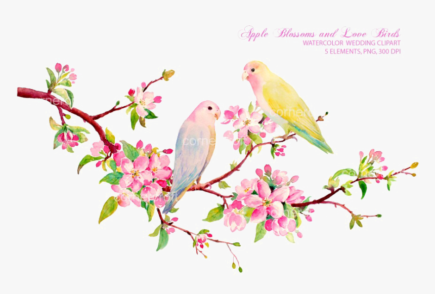 Love Birds Png Download Image, Transparent Png, Free Download