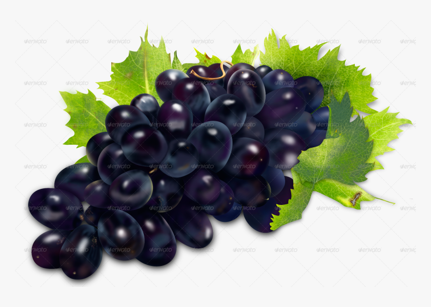 Grapes Illustration Pandafam Graphicriver - Grapes Illustration Png, Transparent Png, Free Download