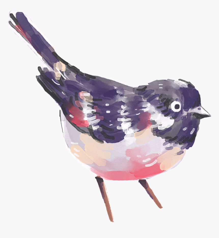 Hand Painted A Painting Bird Png Transparent - Water Color Bird With Transparent Background, Png Download, Free Download