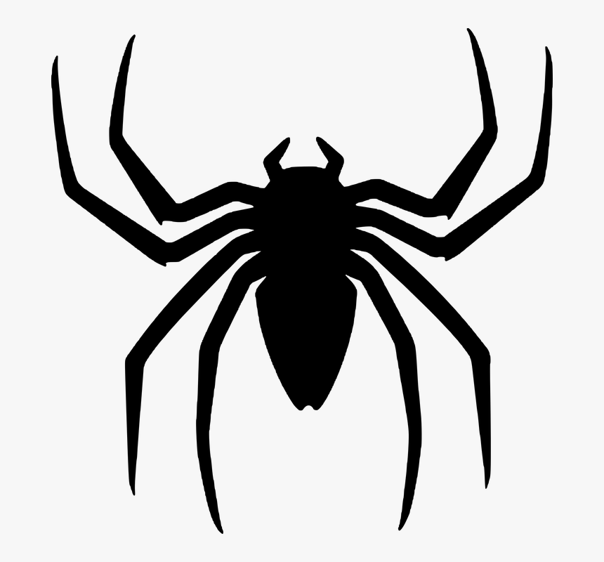 Spiderman Back Spider Logo, HD Png Download, Free Download