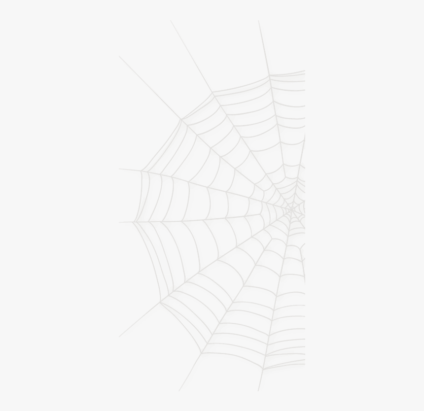 Spider Web, HD Png Download, Free Download