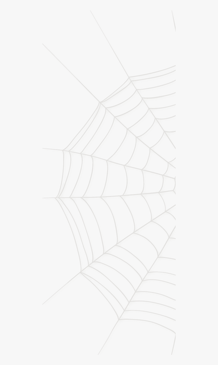 Spider Web Large - Spider Net, HD Png Download, Free Download