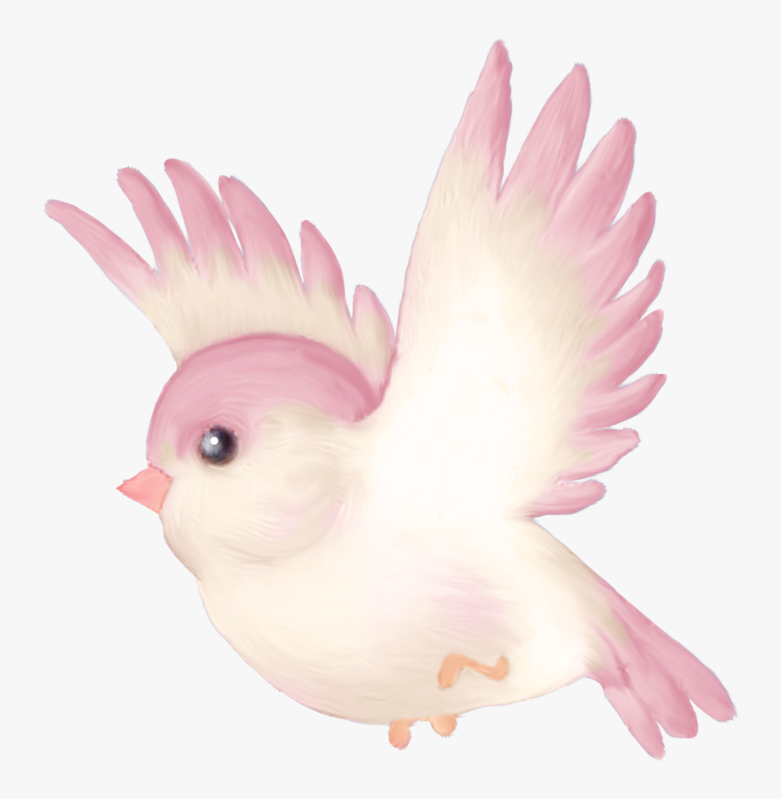 Clipart Birds Printable - Colorful Flying Birds Png, Transparent Png, Free Download