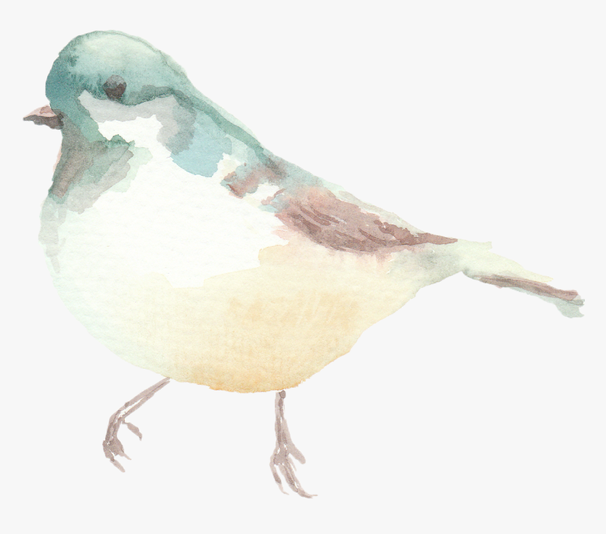 Spring Watercolor Birds, HD Png Download, Free Download